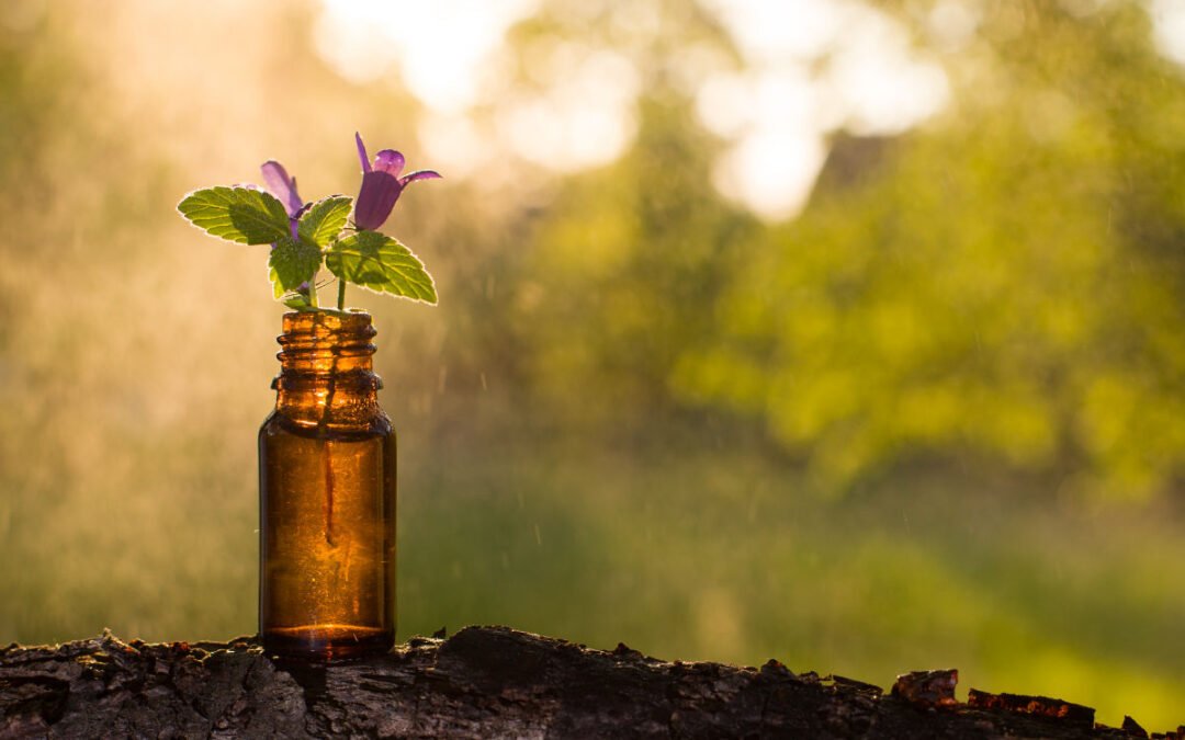 Explore the Magical World of the Bach Flower Remedies